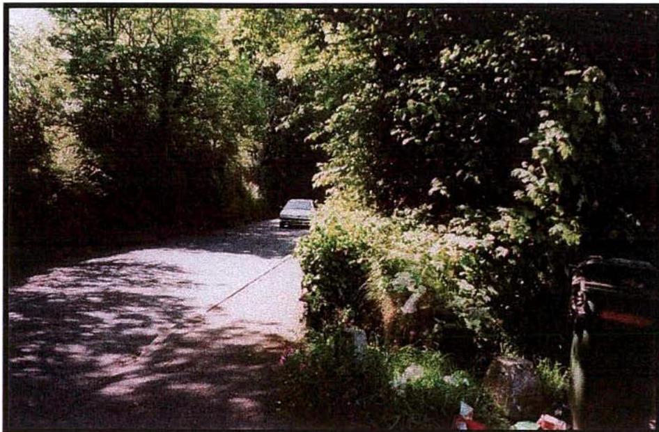 A photograph showing a narrow, tree-lined road with a car visible in the distance, illustrating the existing road conditions.