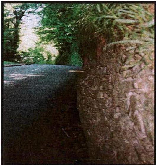 A grainy photograph showing a paved road curving to the left, bordered by a rough stone wall or embankment covered in vegetation on the right side.