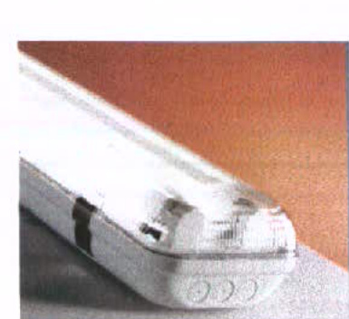 photograph from page 19