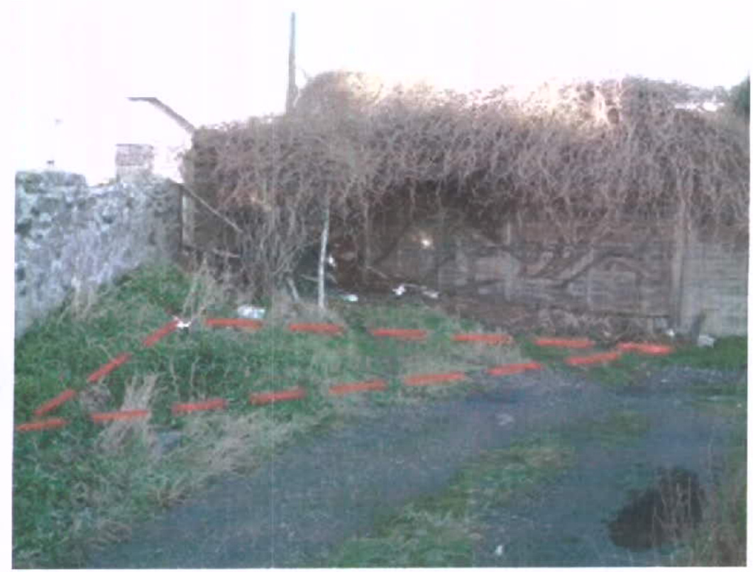A photograph of a grassy site featuring red spray paint markings on the ground, likely indicating a boundary or layout, with a stone wall covered in dense vegetation in the background.
