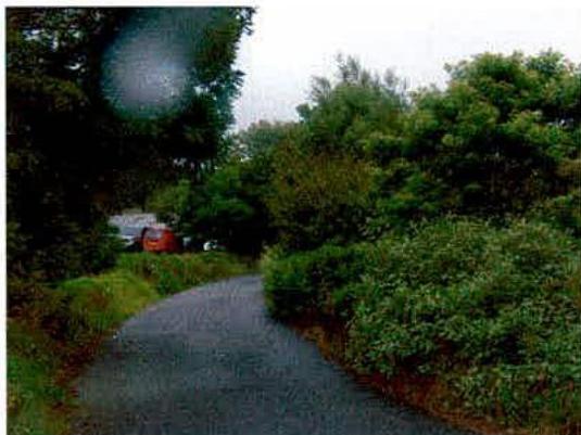 photograph from page 15