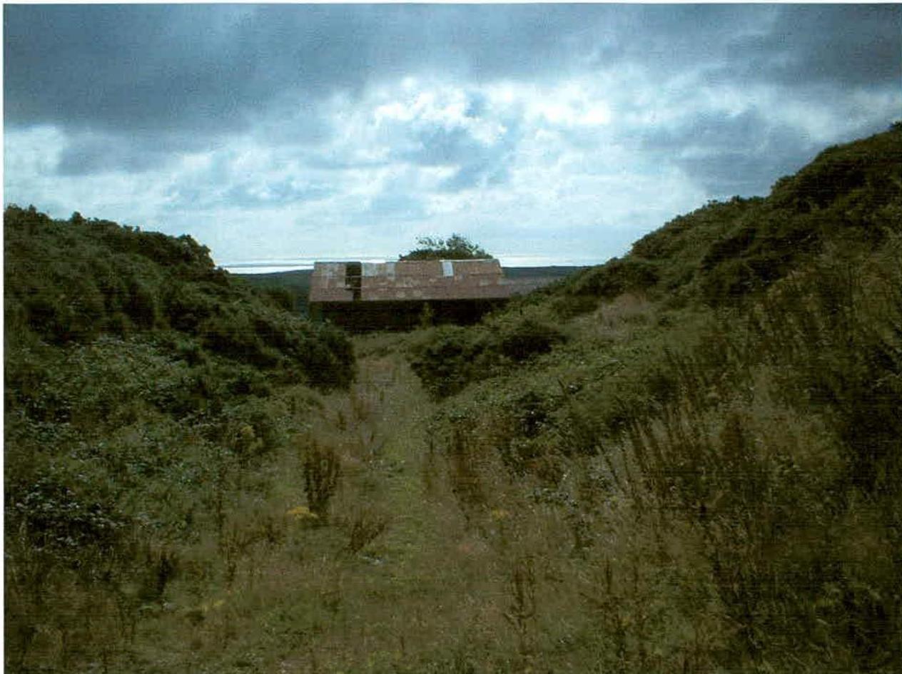 A photograph showing a weathered agricultural shed or barn situated in an overgrown, grassy field with a view of the sea in the background.