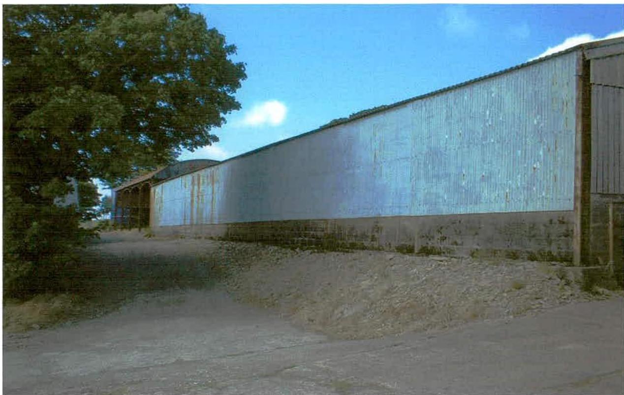 A photograph showing a long, single-story agricultural shed with corrugated metal cladding and a stone plinth, situated next to a large tree.