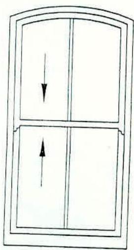 photograph from page 11