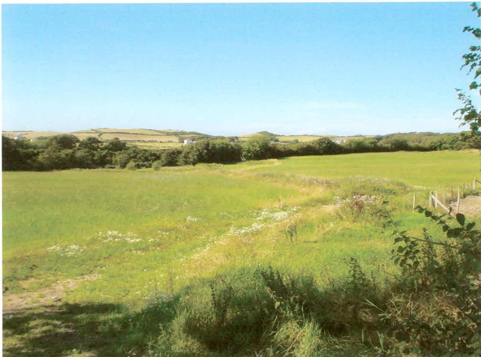 photograph from page 12