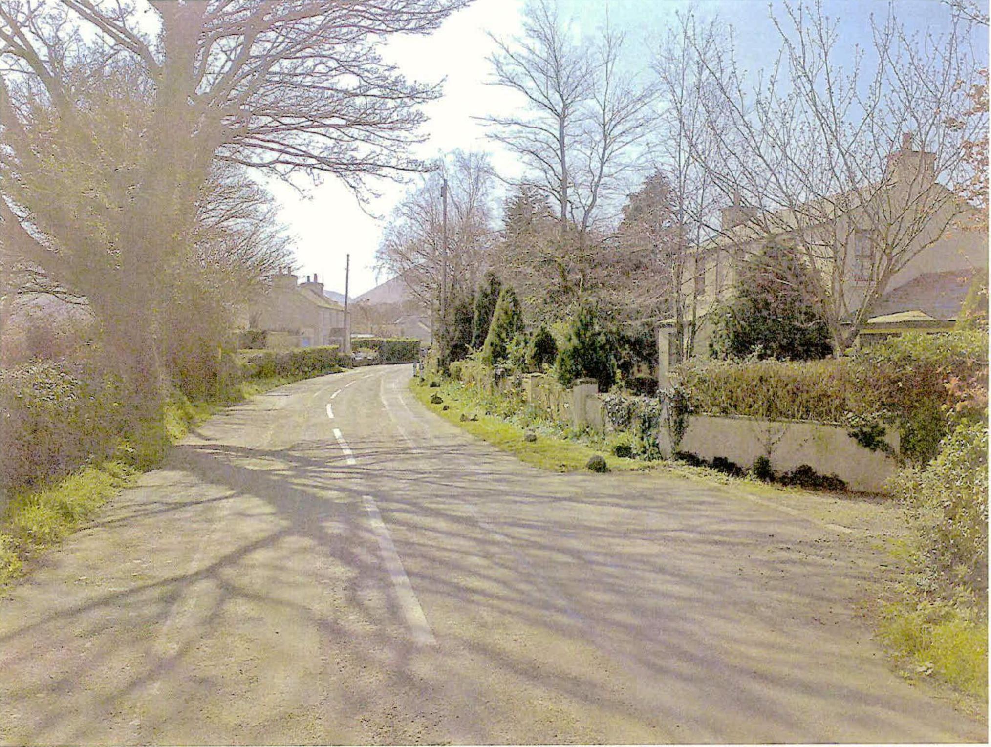 A photograph showing a paved rural road curving through a residential area with large trees and houses visible on both sides.