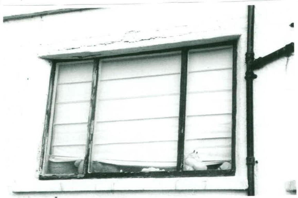 A black and white close-up photograph showing a three-pane window on a white rendered wall with a vertical drainpipe to the right.