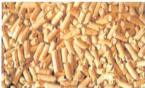 photograph from page 2