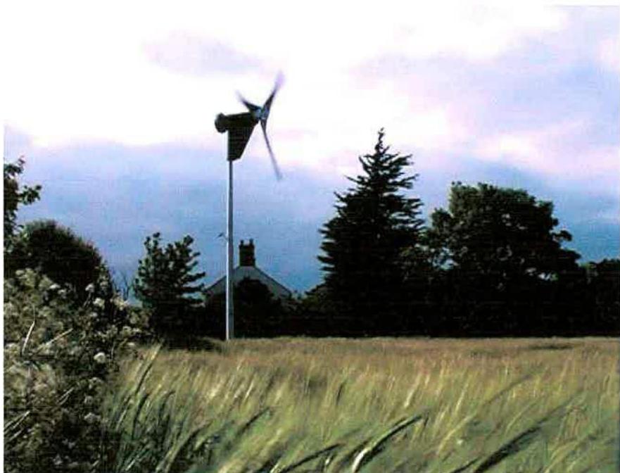 photograph from page 6