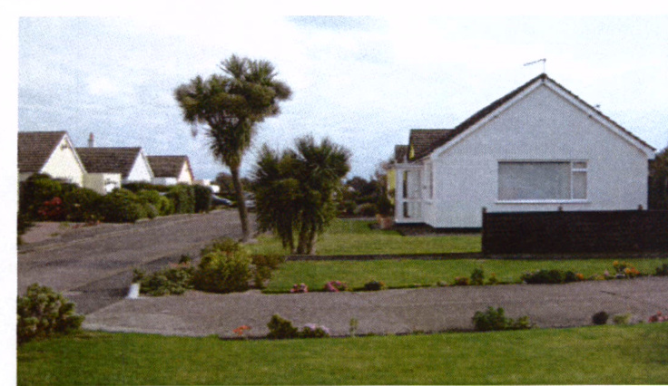A photograph depicting a residential street scene featuring white detached bungalows and palm trees.