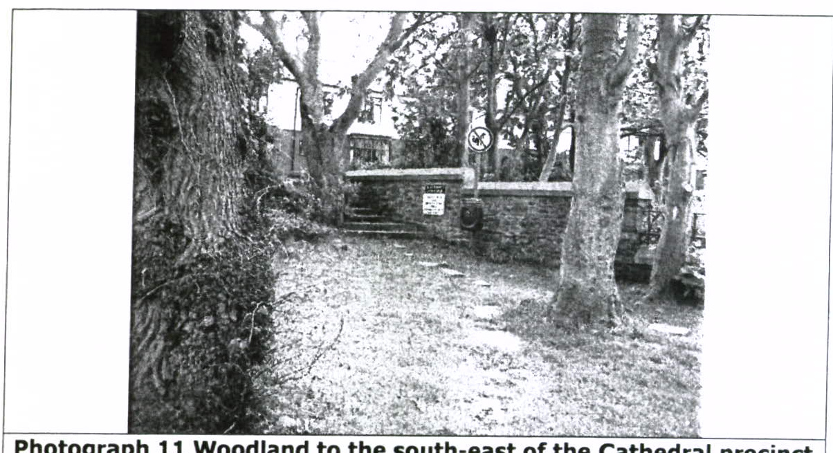 Black and white photograph showing a wooded area with a stone wall and steps, captioned as woodland near the Cathedral precinct.