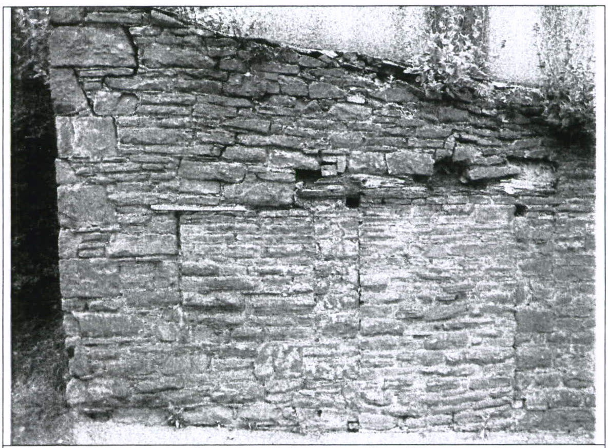 A black and white photograph showing a close-up of a weathered stone wall with vegetation growing on top.