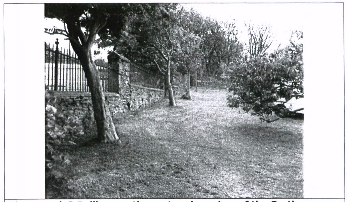 A black and white photograph showing a grassy garden area bordered by a stone wall and metal fence on the left, with trees and shrubs.