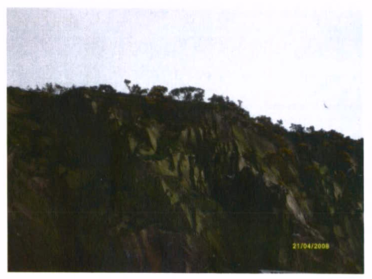 A grainy photograph showing a steep, rocky hillside or cliff face with vegetation along the ridge line, dated April 2008.