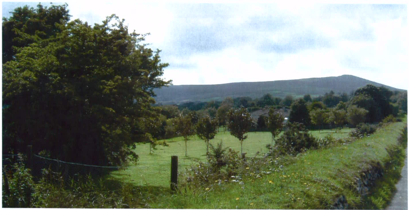 A photograph of a rural landscape featuring a grassy field with young trees, a stone wall, and a large hill in the background.
