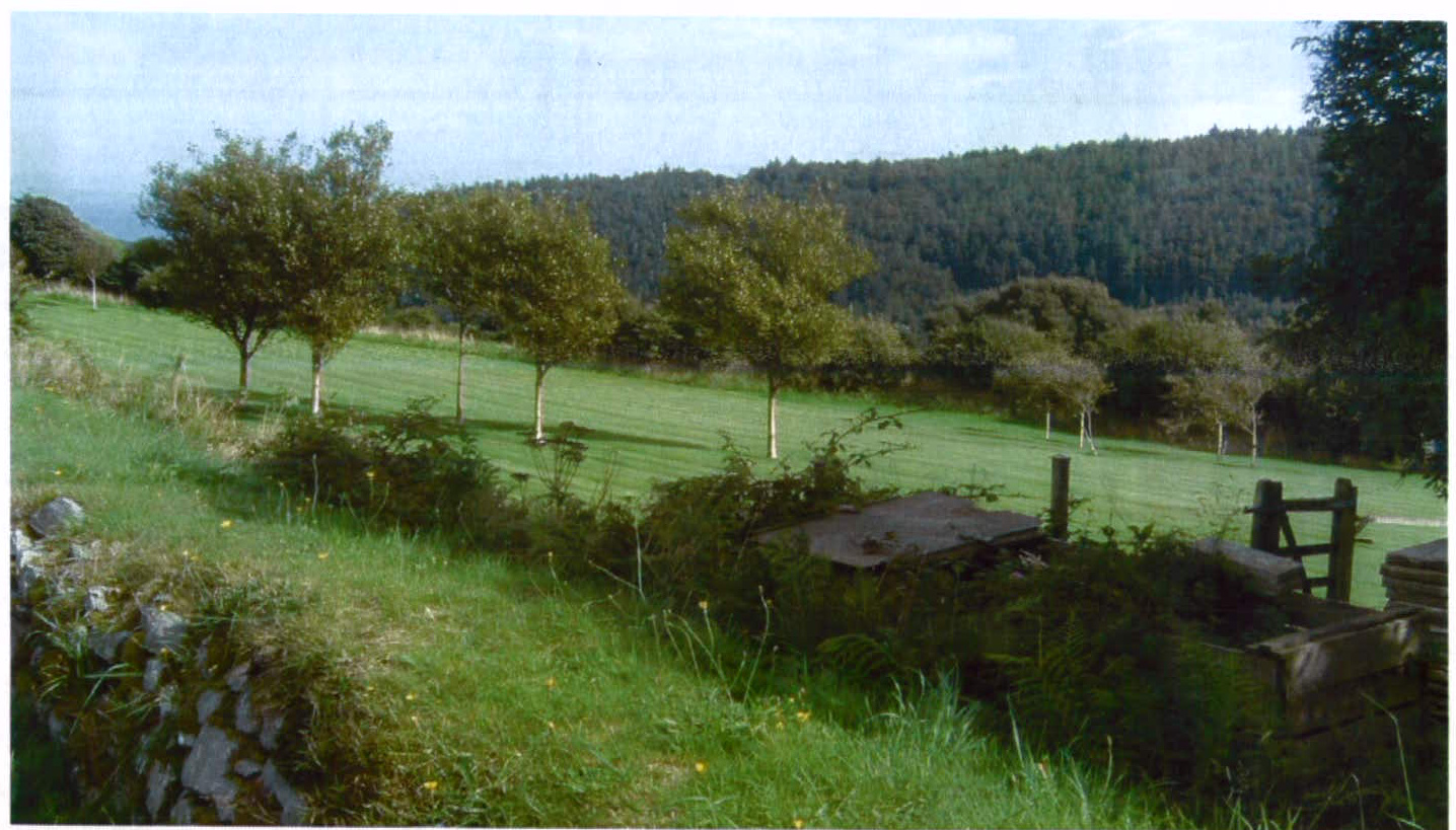 A photograph showing a rural landscape with a grassy field, scattered trees, a stone wall in the foreground, and a forested hill in the background.