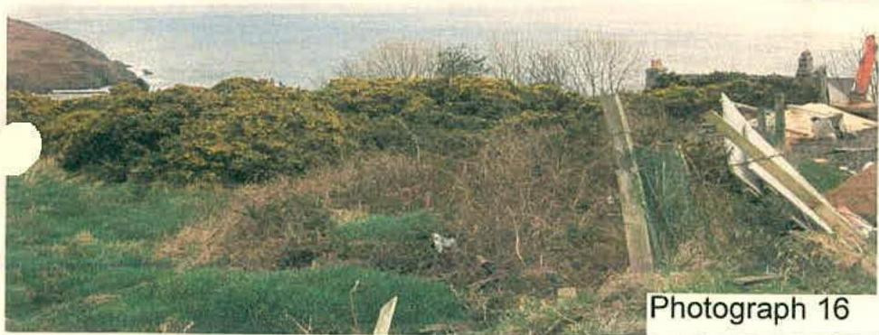 A photograph showing an overgrown grassy slope with gorse bushes overlooking the sea, with wooden fencing or debris visible on the right side.