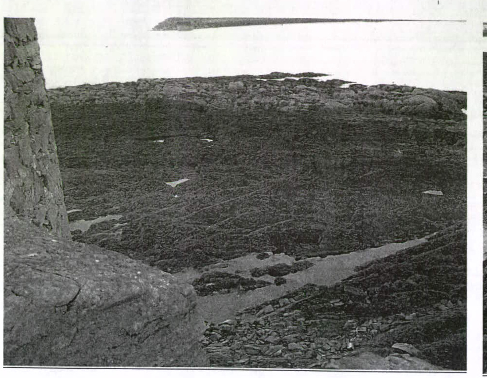 A black and white photograph showing a rocky coastal landscape with a stone wall in the foreground and a distant island or headland across the water.
