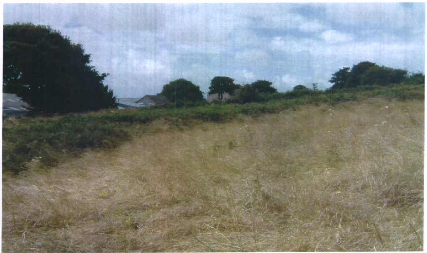 A photograph showing a grassy field with trees and residential rooftops visible in the background.