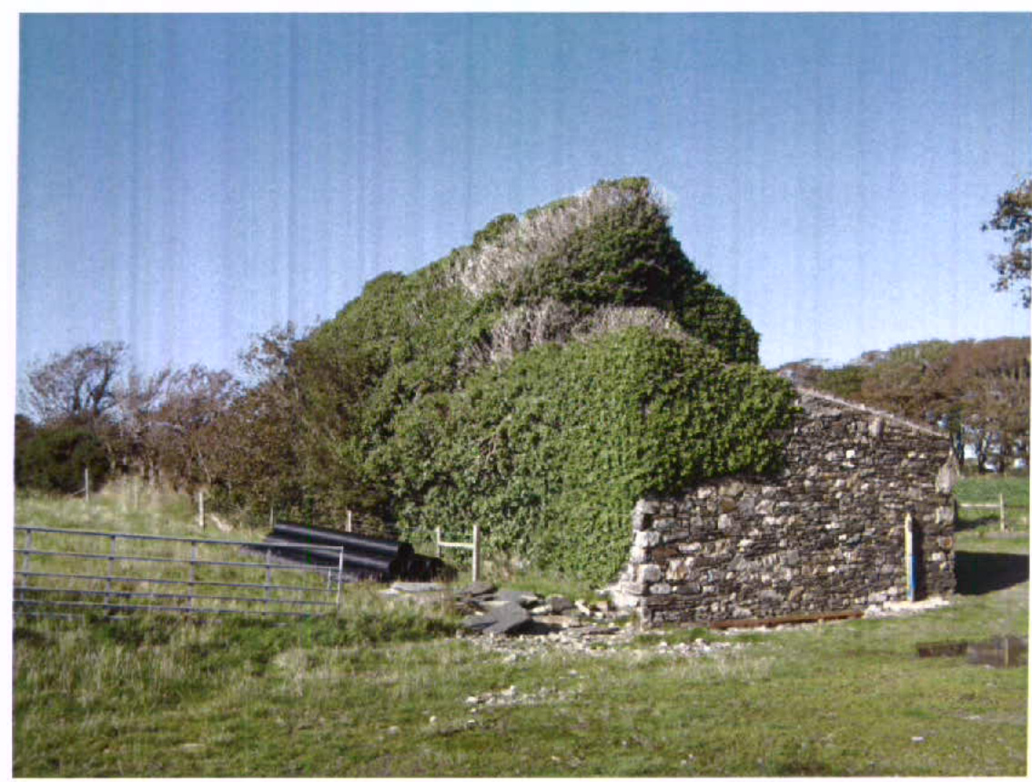 A photograph showing a dilapidated stone mill building heavily overgrown with ivy in a rural setting.