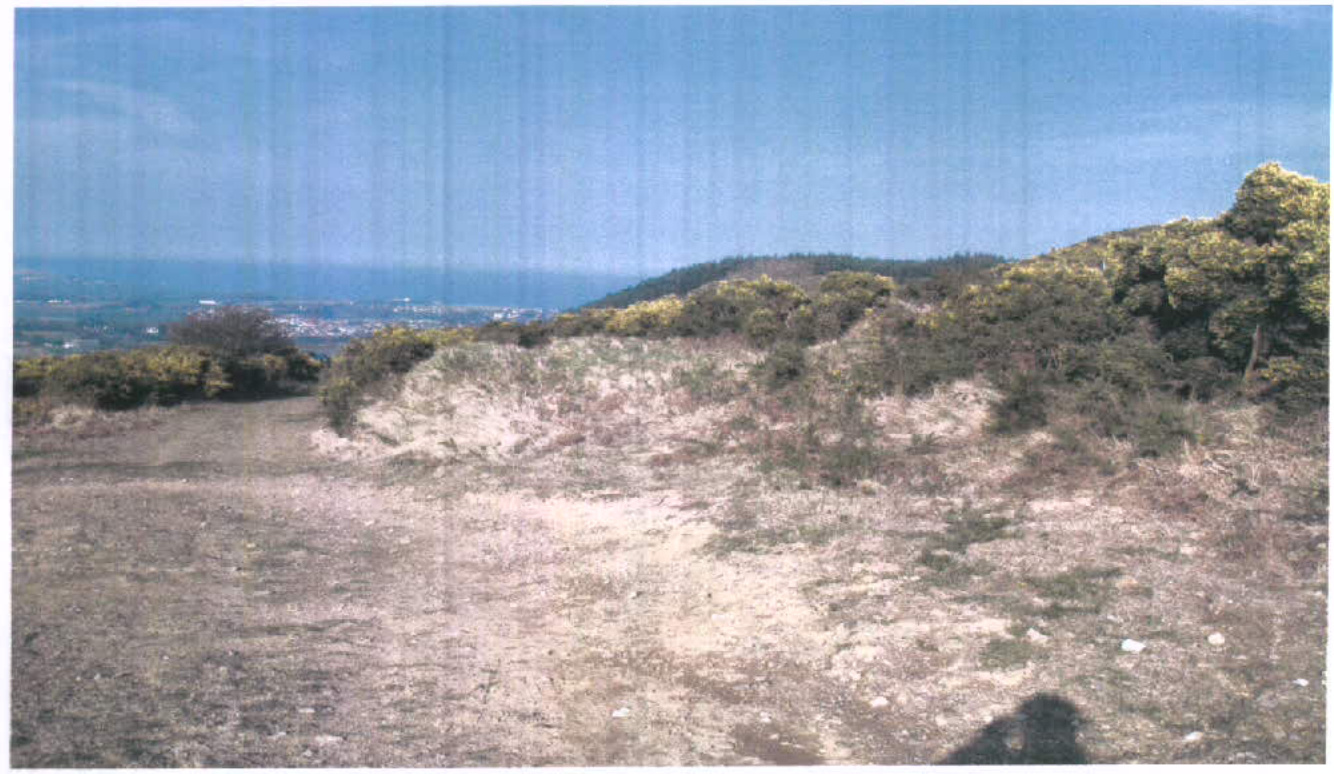 A photograph showing a grassy, sandy hillside with gorse bushes overlooking a coastal town and the sea in the distance.