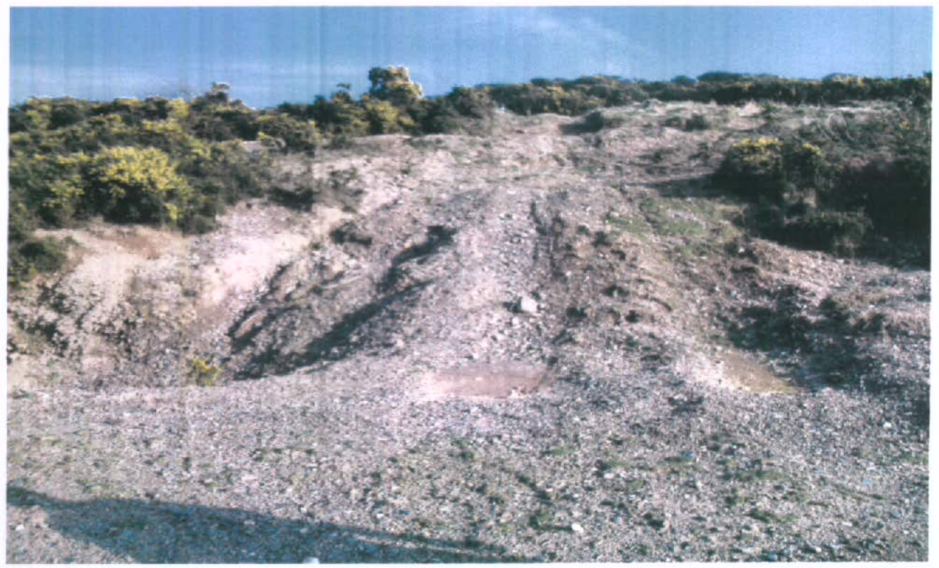 photograph from page 17