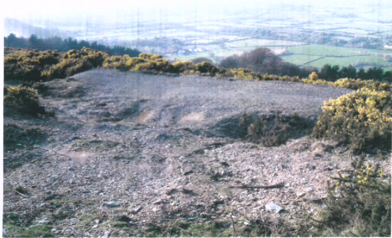 A photograph showing a cleared plot of rough ground surrounded by gorse bushes, overlooking a rural valley with fields.