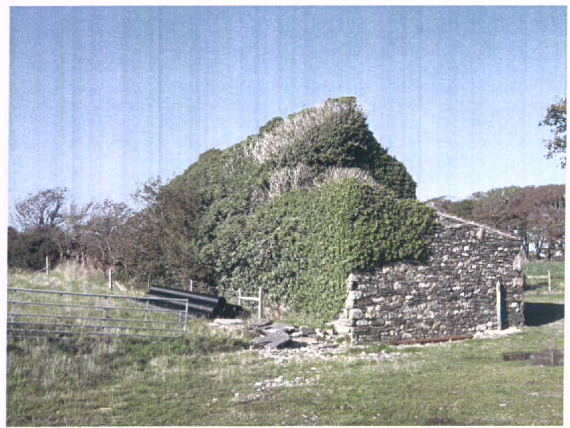 A photograph showing a dilapidated stone building heavily overgrown with ivy, situated in a rural setting with a metal gate in the foreground.