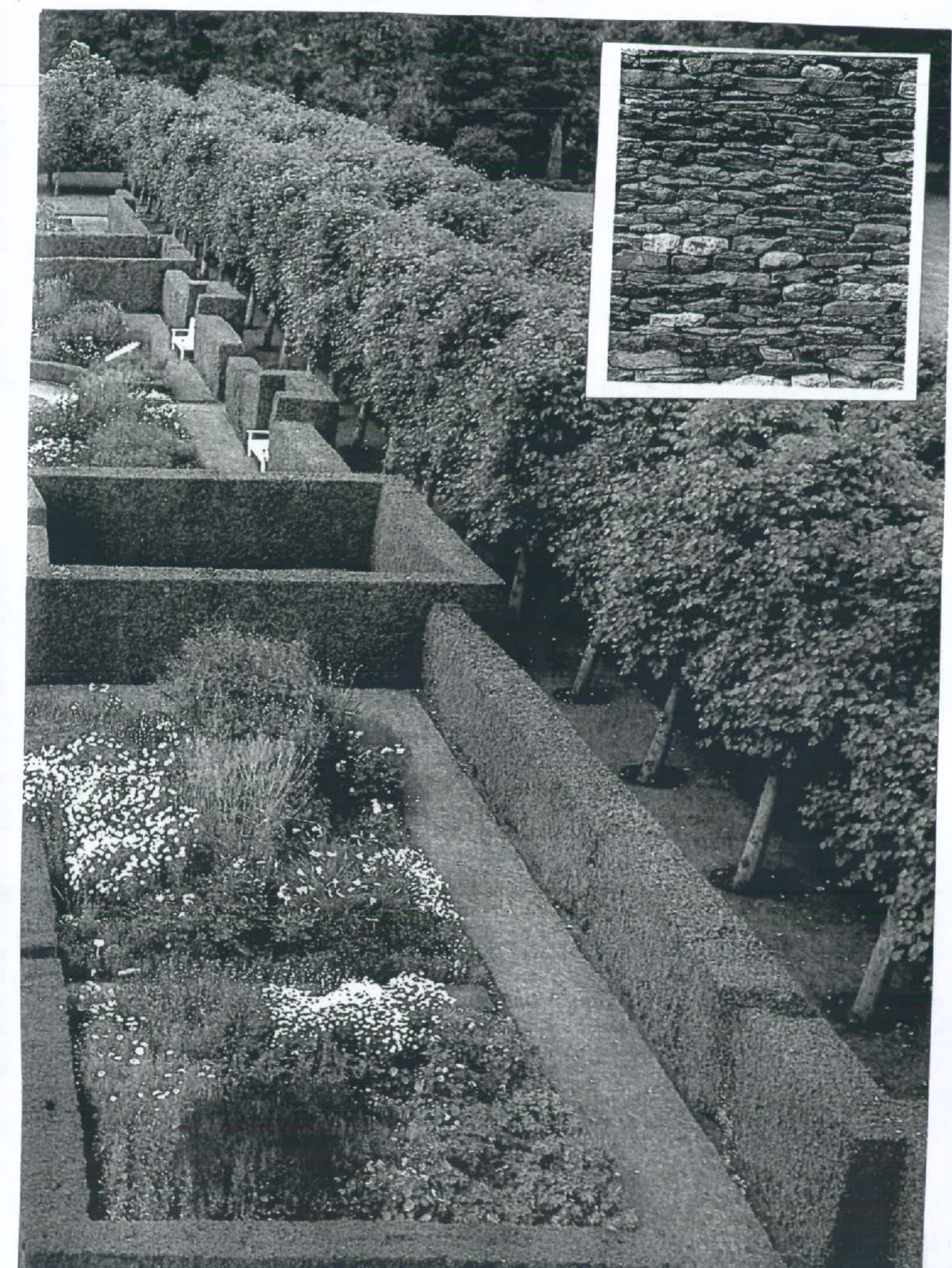 A black and white image displaying a formal garden design with manicured hedges and flower beds, featuring an inset close-up of a stone wall.