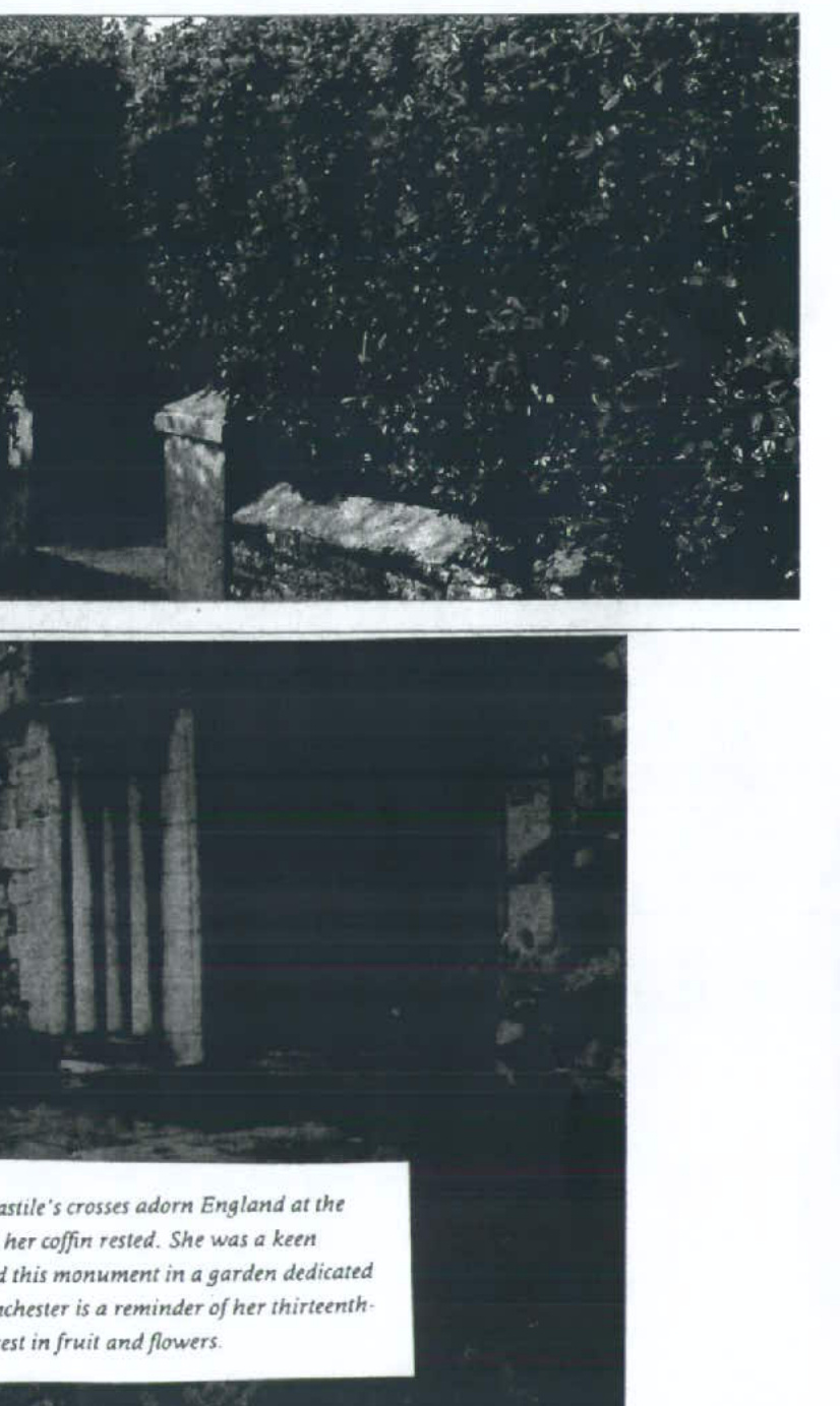 The image displays black and white photographs of stone structures, including a low wall and a building with arches, set against dense foliage.