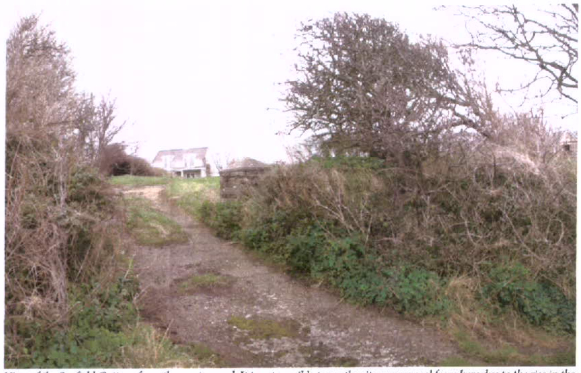 A photograph showing a dirt track leading uphill through overgrown vegetation towards a white building in the distance.