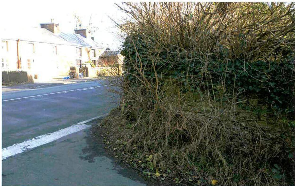 A street-level photograph showing a road junction with a large overgrown hedge in the foreground and traditional stone cottages in the background.