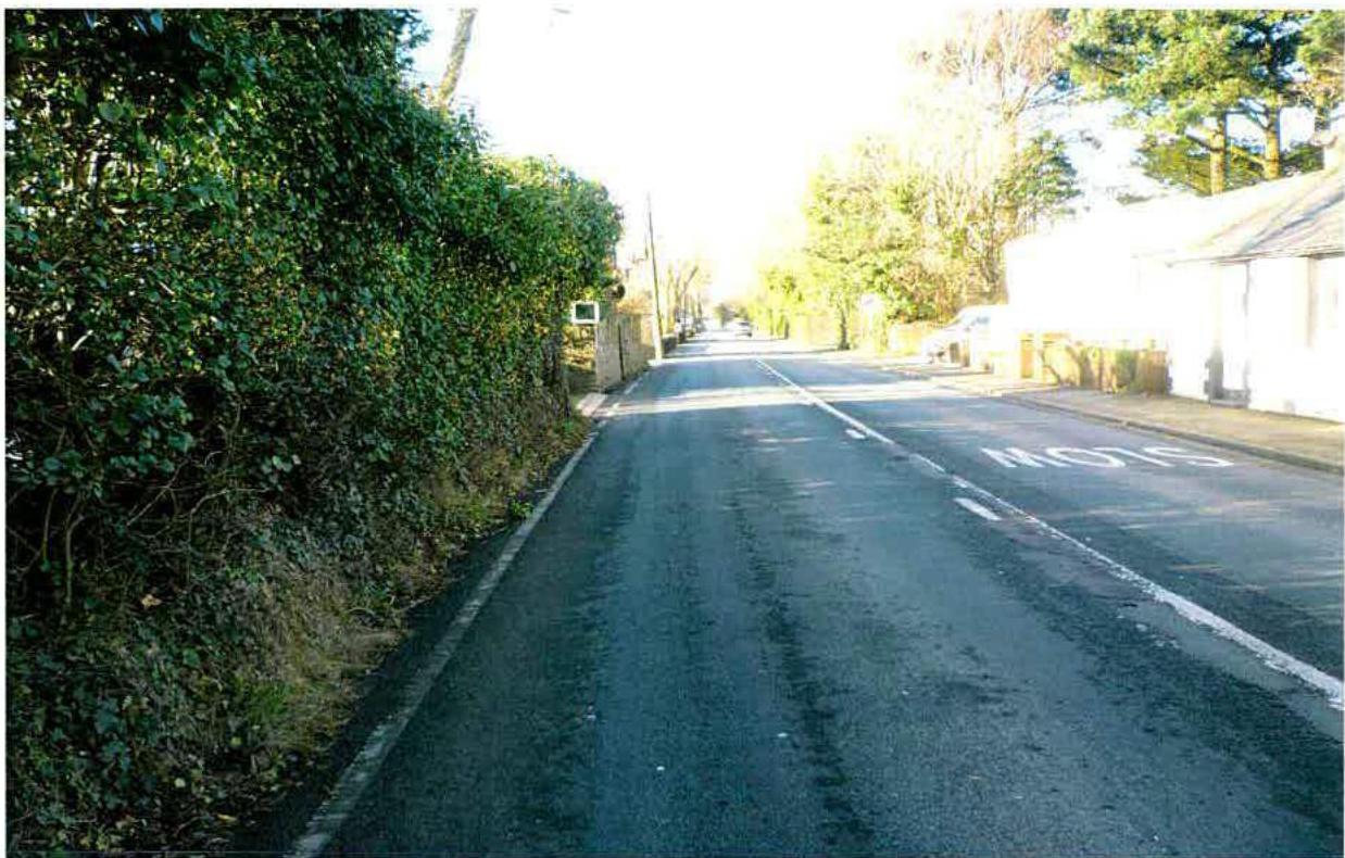 A photograph showing a rural road with a 'SLOW' marking painted on the tarmac, bordered by a dense hedge on the left and white buildings on the right.