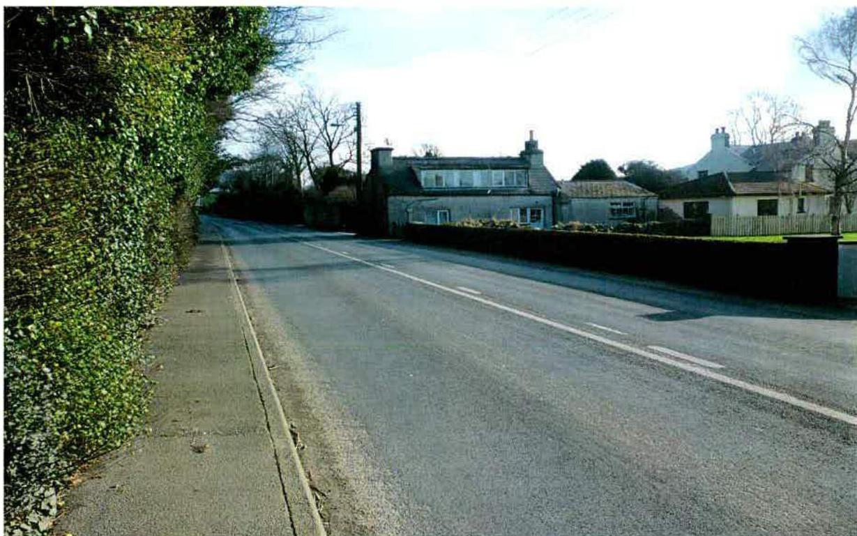 A street-level photograph showing a paved road bordered by a tall green hedge on the left and residential houses on the right.
