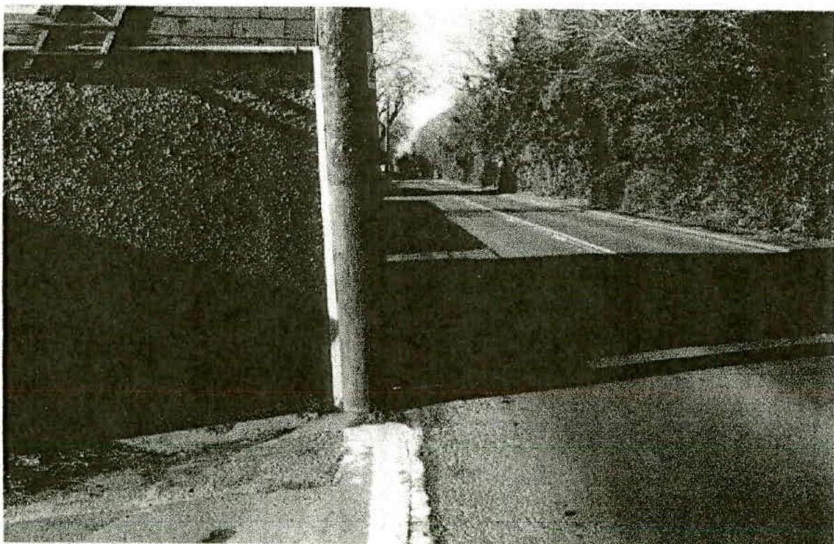 Grainy black and white photograph showing a roadside view with a wooden post and a road stretching into the distance lined with trees.