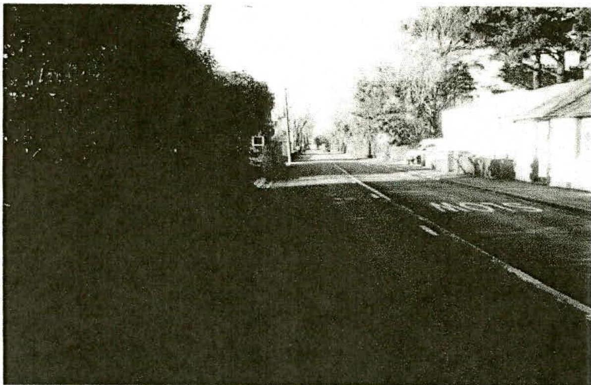 A grainy black and white photograph showing a road with 'SLOW' markings, bordered by a dark hedge on the left and a white outbuilding on the right.