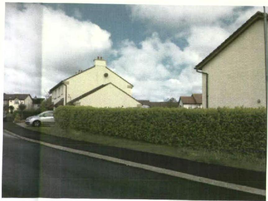 A photograph showing a residential street scene featuring a cream-colored house situated behind a tall green hedge with a car parked nearby.