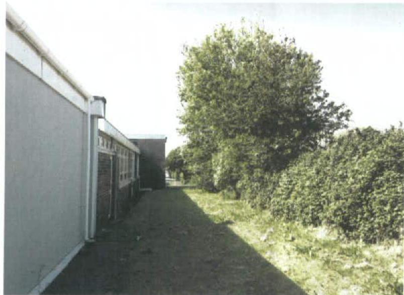 A photograph showing the side elevation of a long, single-story building with a paved path running alongside it. To the right is a grassy area with a large tree and dense hedgerow.