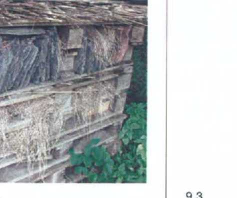 A close-up photograph of an old, weathered agricultural building, likely a barn, with vegetation growing at the base.