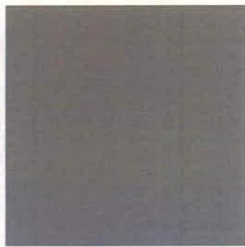 photograph from page 1