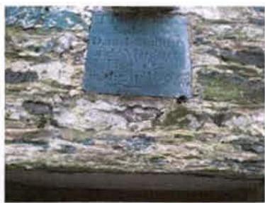 photograph from page 1