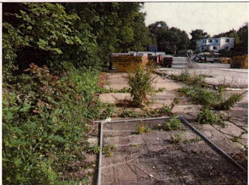A photograph showing a vacant plot of land with concrete slabs, overgrown vegetation, and yellow storage containers, likely the site proposed for industrial development.