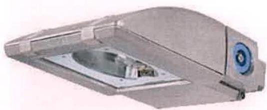 photograph from page 8