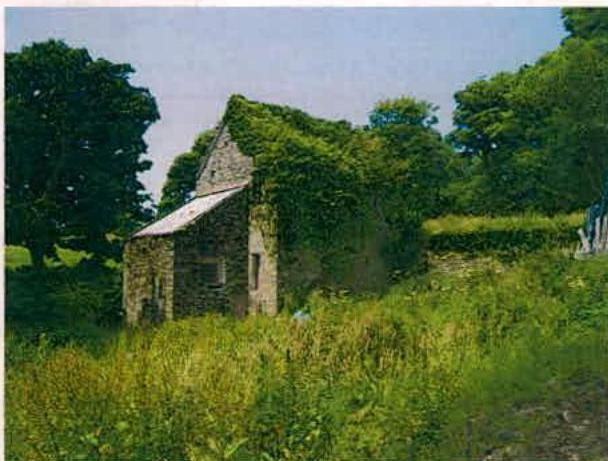 A photograph of a stone building, identified as a former mill, which is partially covered in ivy and surrounded by tall grass and trees.