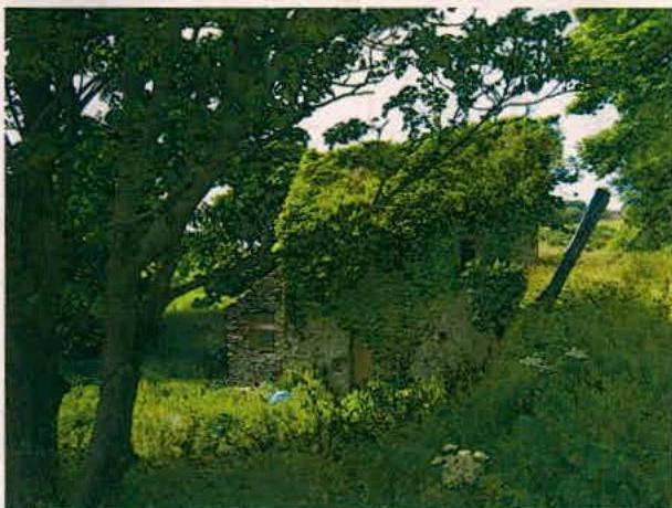 A photograph showing a stone building heavily overgrown with ivy and vegetation, likely the former mill mentioned in the application, situated in a rural setting.