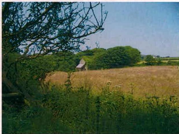 A photograph showing a rural field with tall grass and trees, featuring a small structure visible in the distance.