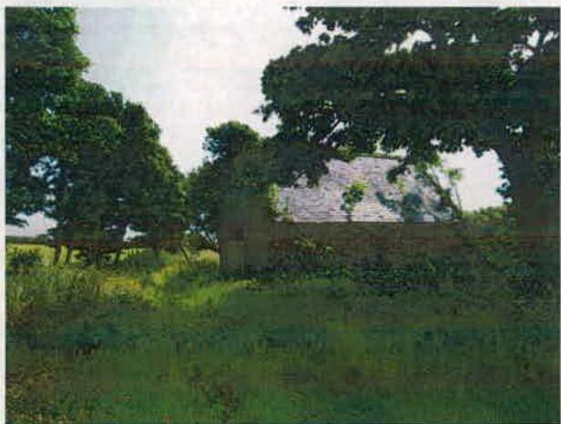 A low-resolution photograph showing a stone building, likely the former mill, partially obscured by large trees and overgrown vegetation in a rural setting.