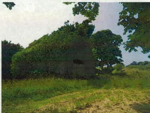 A photograph showing a stone building, likely the former mill, heavily overgrown with ivy and vegetation in a rural setting.