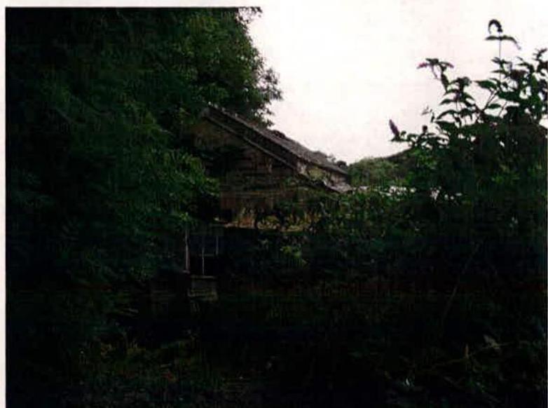 A low-resolution photograph showing a stone building partially obscured by dense trees and vegetation, likely the laundry building mentioned in the application.