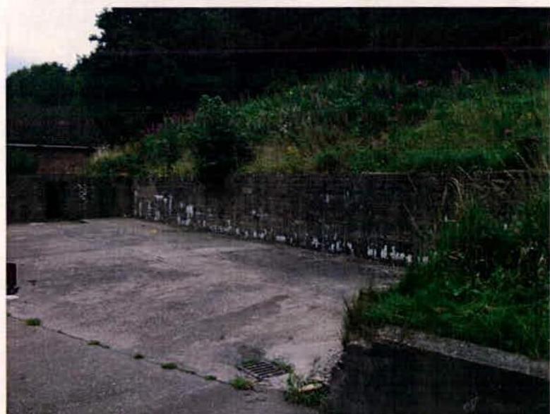 A photograph showing a paved yard area bordered by a weathered stone retaining wall and overgrown vegetation on a slope.